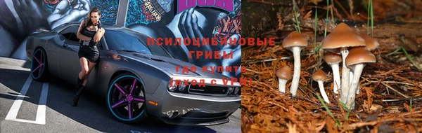 мет Лихославль