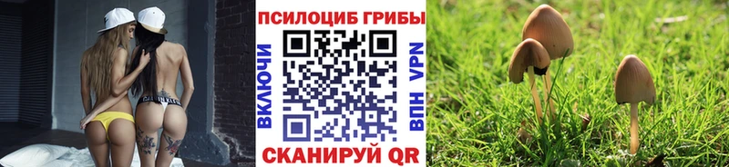 Галлюциногенные грибы мухоморы  магазин продажи наркотиков  Нижневартовск 