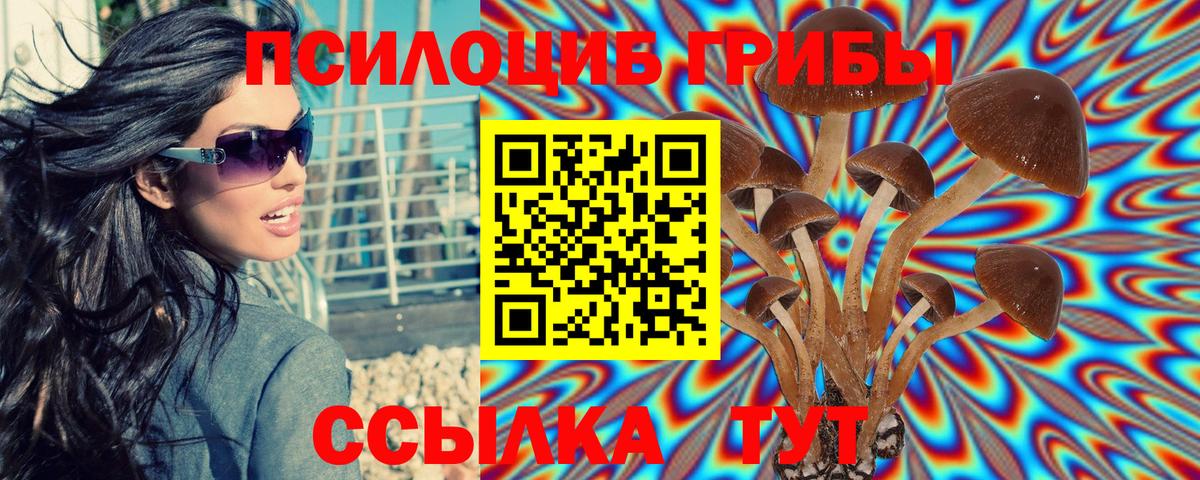 Нижневартовск  купить наркотики сайты  Вход с VPN  Псилоцибиновые грибы Psilocybine cubensis 